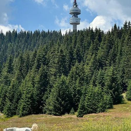 Yanevi At Grand Monastery Pamporovo